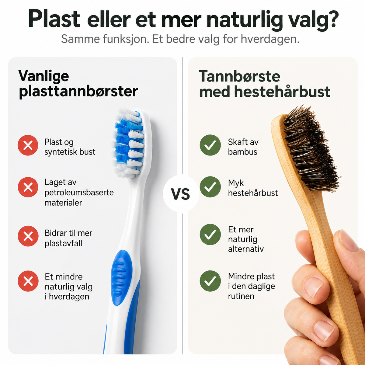 Evella Tannbørste Med Hestebust